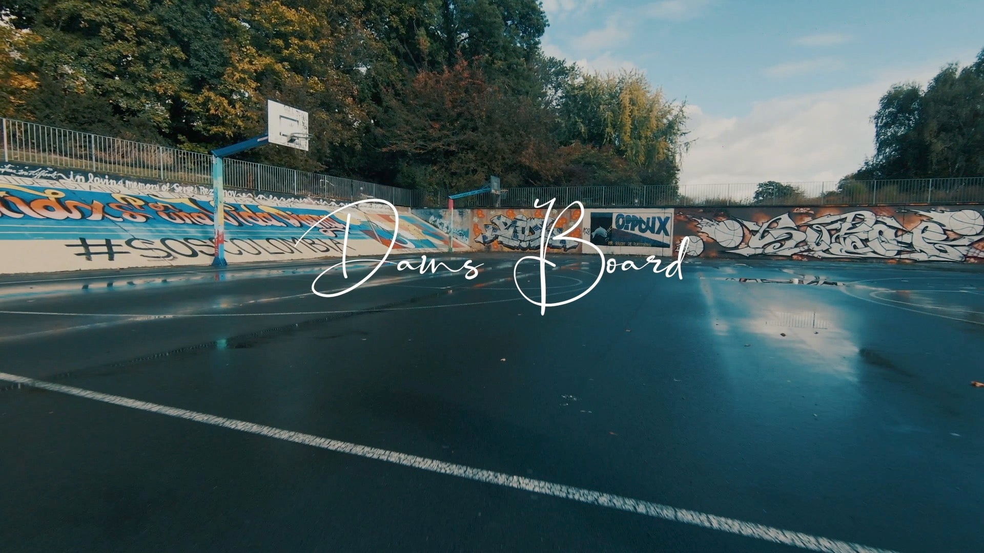 Balance Board - Dans Board introduction pic