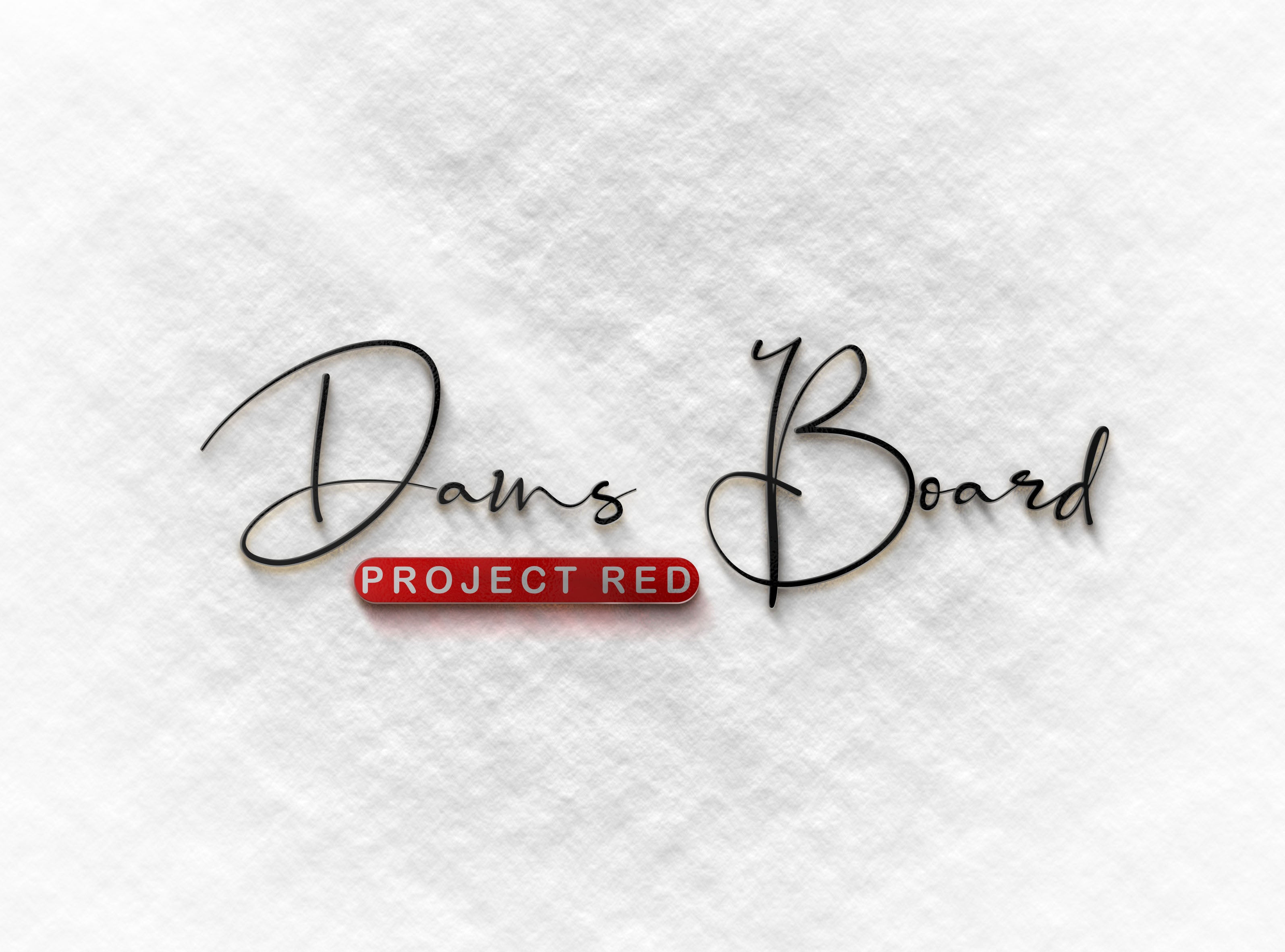 Balance Board - Dans Board Project Red review